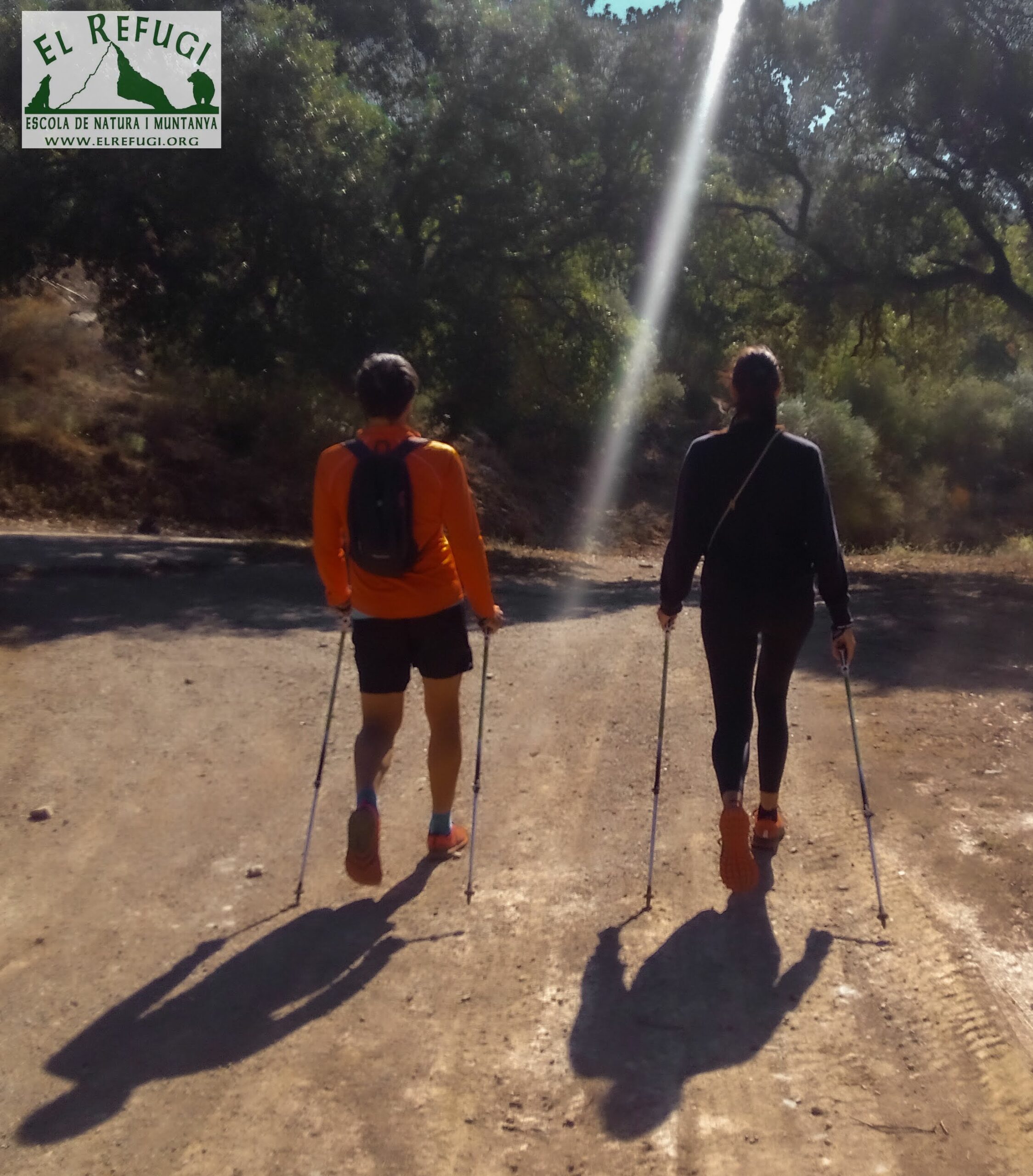 una parella practicat marxa nòrdica al bosc, entre ratjos de sol