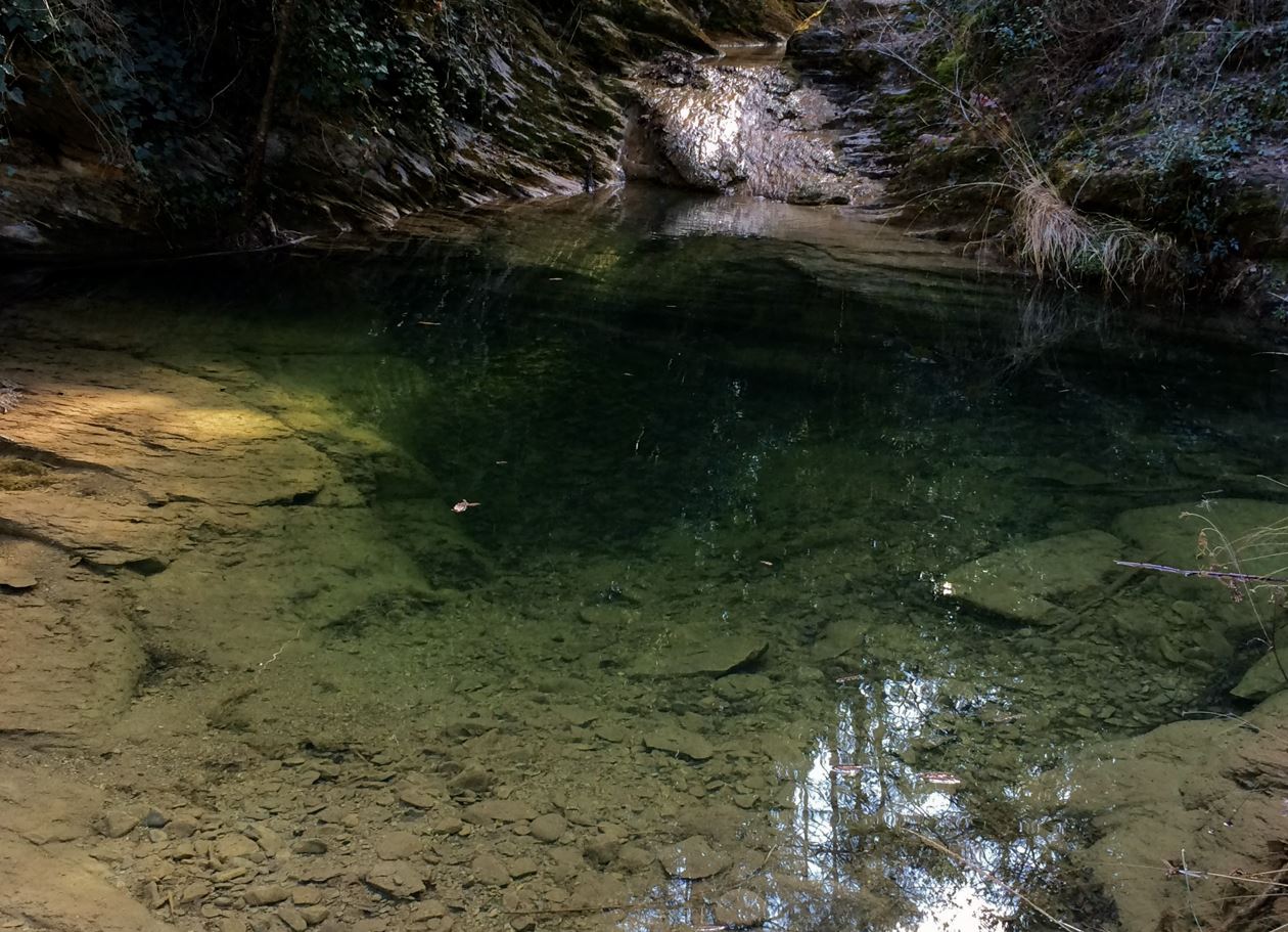 SENDERISME ACTIU EXCURSIONISME, GARROTXA, EL REFUGI ESCOLA, GUIES DE MUNTANYA, EDUCACIÓ AMBIENTAL