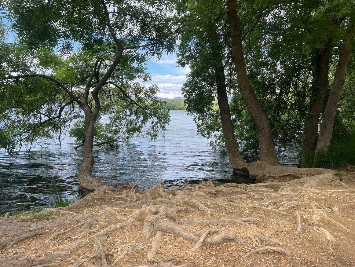 excursió marxa nòrdica